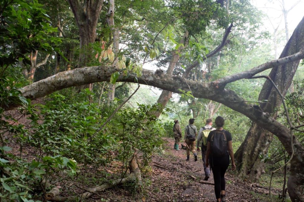 Kyambura Gorge walk