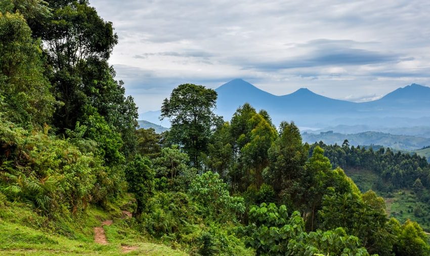 UGANDA, RWANDA & TANZANIA ARE ON THE BEST DESTINATIONS TO VISIT IN 2023