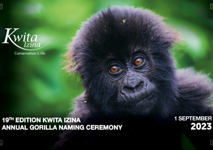 Kwita Izina: Celebrating Rwanda’s Conservation Success