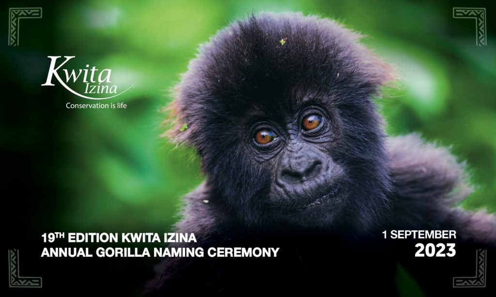 Kwita Izina: Celebrating Rwanda’s Conservation Success
