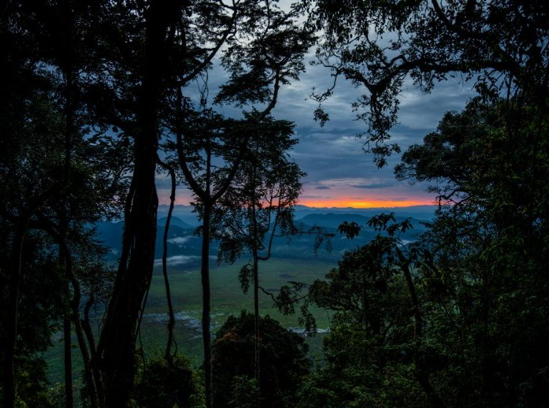 Nyungwe National Park Now a UNESCO World Heritage Site