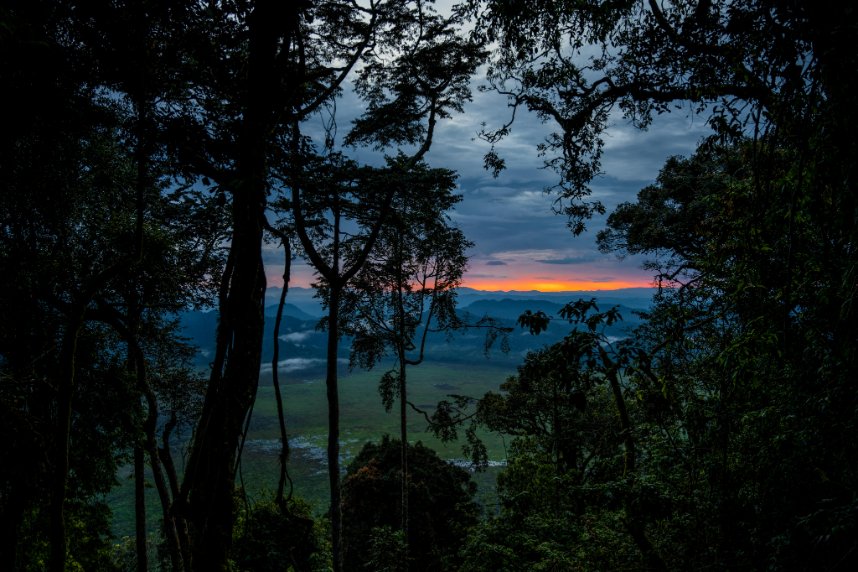 Nyungwe National Park Now a UNESCO World Heritage Site