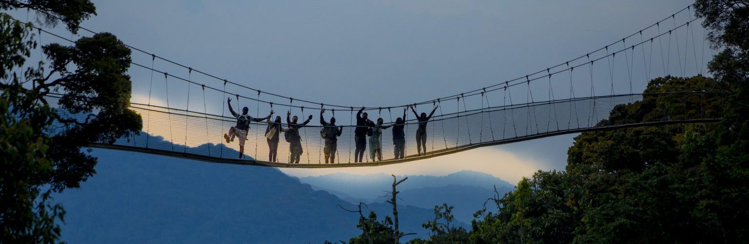 Nyungwe Canopy Walk