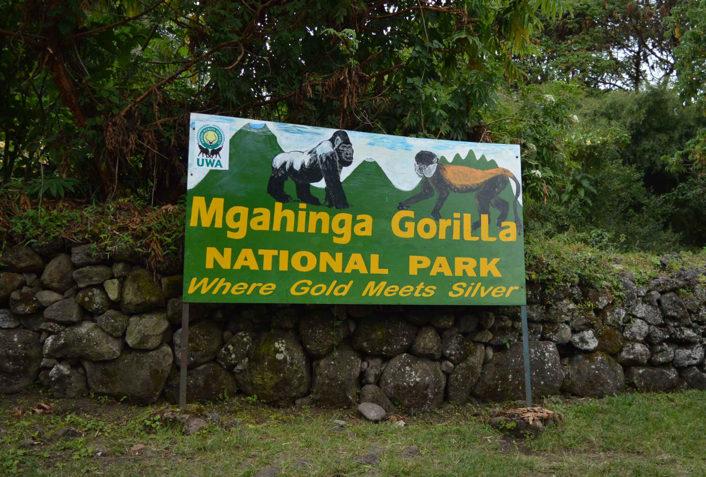 Mgahinga Gorilla National Park