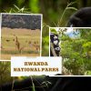 Rwanda National Parks