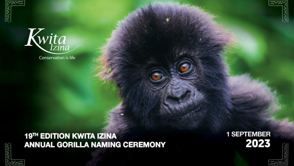 Kwita Izina: Celebrating Rwanda’s Conservation Success